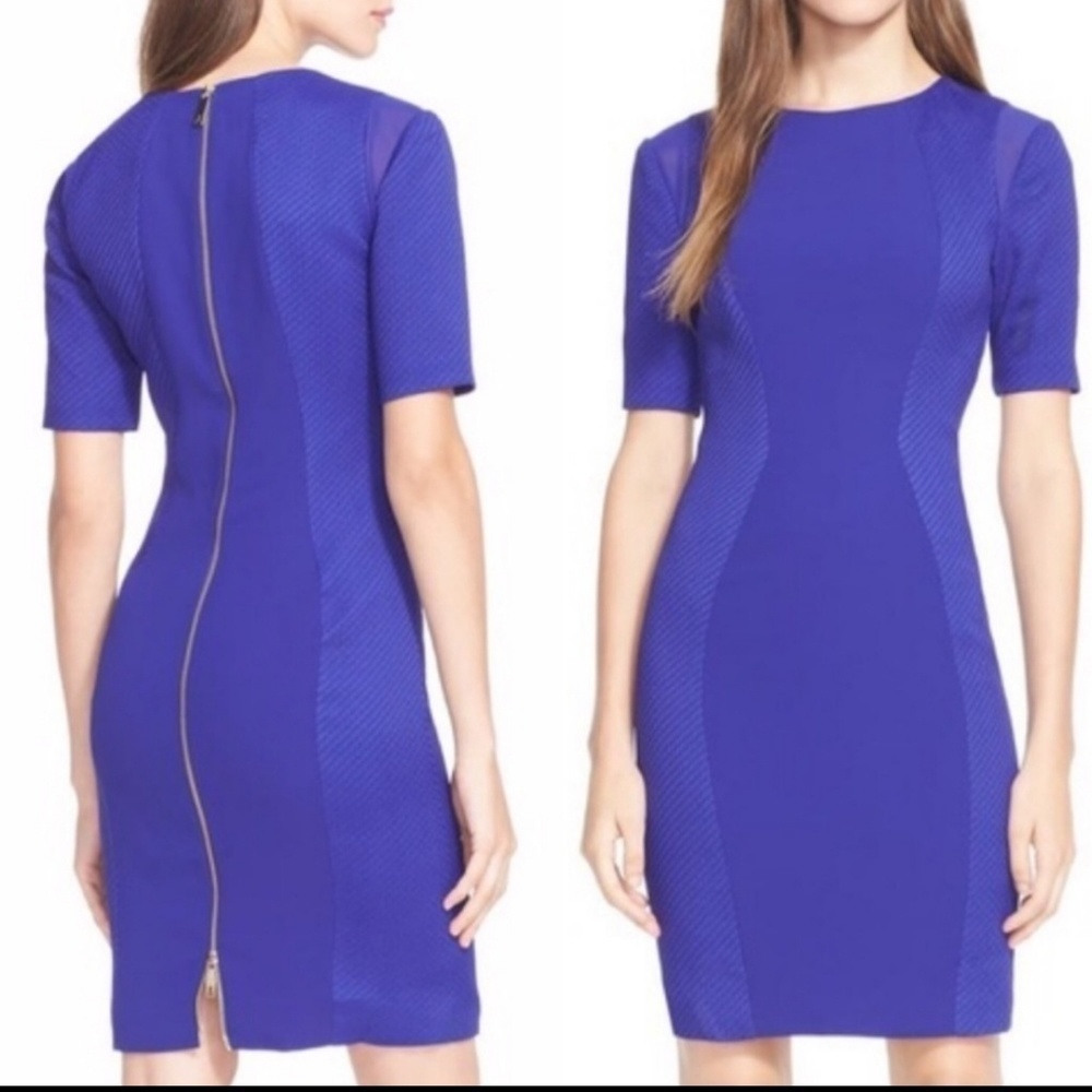 Ted Baker London Royal Blue Ponte Sheath Dress